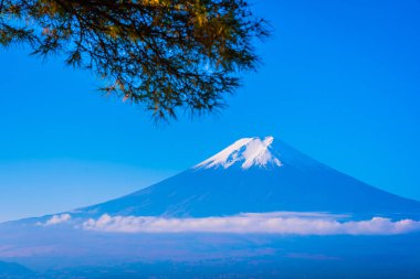 Güzel manzara dağ fuji akçaağaç yaprağı ağaç beyaz bulut ve Yamanashi Japonya sonbahar sezonu mavi gökyüzü ile çevresinde