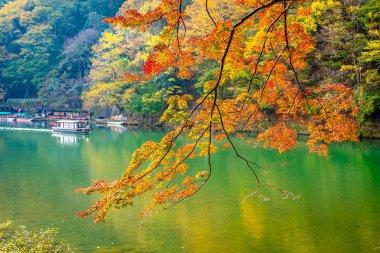 Akçaağaç ağaç yaprak ve sonbahar sezonu Kyoto Japonya göl etrafında tekne ile güzel Arashiyama Nehri