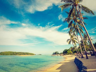 Güzel tropikal plaj ve deniz ile Hindistan cevizi hurma ağacının seyahat ve tatil