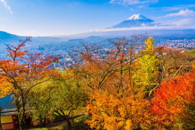 Güzel manzara dağ fuji akçaağaç yaprağı ağaç beyaz bulut ve Yamanashi Japonya sonbahar sezonu mavi gökyüzü ile çevresinde