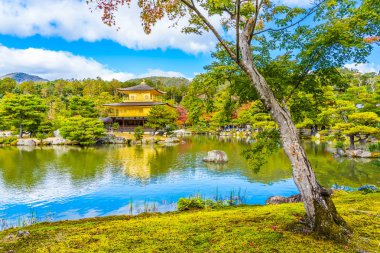 Güzel Kinkakuji Tapınağı Kyoto Japonya'nın Altın Köşk Simgesel Yapı ile