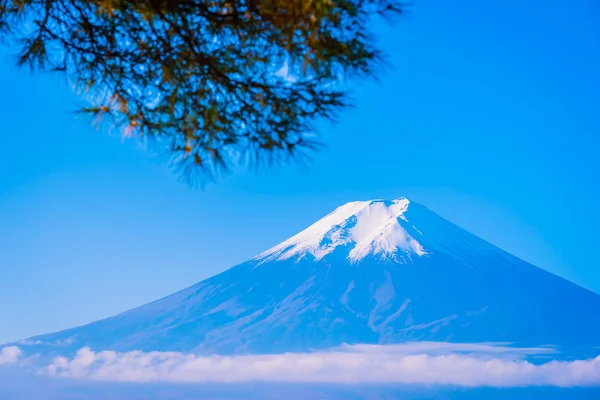 Güzel Manzara Dağ Fuji Akçaağaç Yaprağı Ağaç Beyaz Bulut Yamanashi — Stok fotoğraf