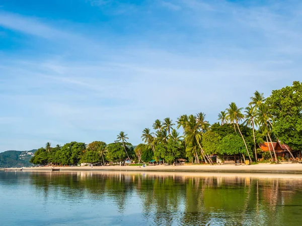 Belle Plage Tropicale Mer Avec Cocotier Pour Les Voyages Les — Photo