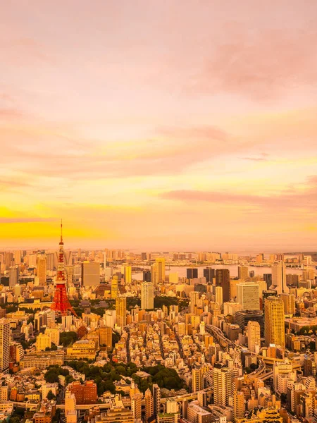 Hermosa Vista Aérea Arquitectura Edificio Torre Tokyo Alrededor Ciudad Atardecer — Foto de Stock
