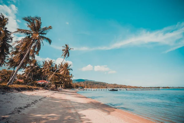 Wunderschöner Tropischer Strand Und Meer Mit Kokospalmen Paradiesinsel — Stockfoto