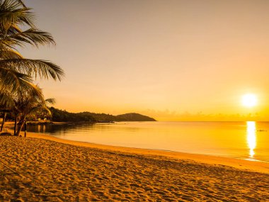 Güzel tropikal plaj deniz ve okyanus ile Hindistan cevizi hurma ağacı gündoğumu zaman seyahat ve tatil için