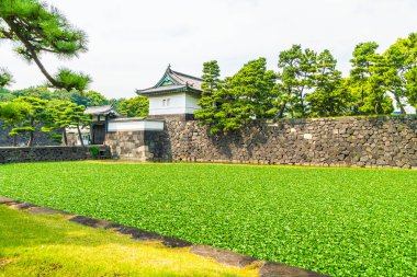 Güzel eski mimari İmparatorluk Sarayı Kalesi hendek ve Tokyo şehir Japonya köprüsünde 