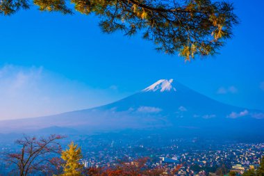 Dağ fuji chureito pagoda akçaağaç ağaç yaprak sonbahar sezonu Yamanashi Japonya çevresinde ile güzel manzara