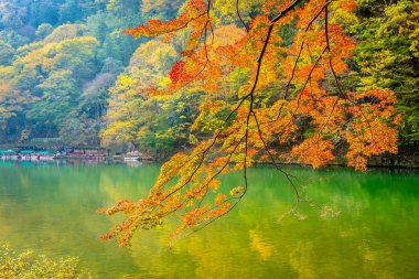Akçaağaç ağaç yaprak ve sonbahar sezonu Kyoto Japonya göl etrafında tekne ile güzel Arashiyama Nehri