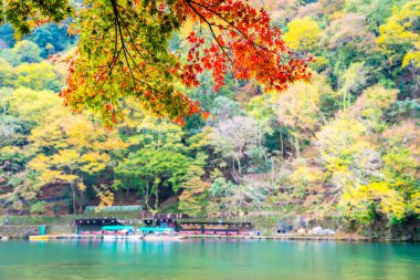 Akçaağaç ağaç yaprak ve sonbahar sezonu Kyoto Japonya göl etrafında tekne ile güzel Arashiyama Nehri