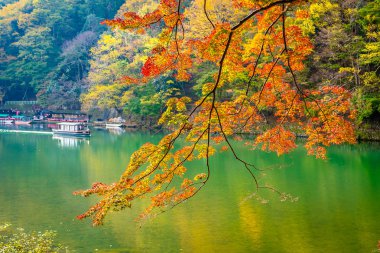 Akçaağaç ağaç yaprak ve sonbahar sezonu Kyoto Japonya göl etrafında tekne ile güzel Arashiyama Nehri