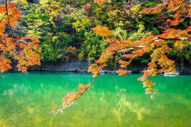 Akçaağaç ağaç yaprak ve sonbahar sezonu Kyoto Japonya göl etrafında tekne ile güzel Arashiyama Nehri