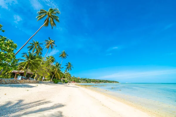 Bella Spiaggia Tropicale Mare Sabbia Con Palma Cocco Sul Cielo — Foto Stock