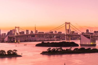 Alacakaranlık günbatımı zaman Japonya'nın tokyo şehir Gökkuşağı Köprüsü ile Cityscape bina güzel mimari