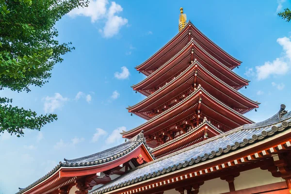 Hermoso Edificio Arquitectura Sensoji Templo Famoso Lugar Para Visitar Asakusa — Foto de Stock