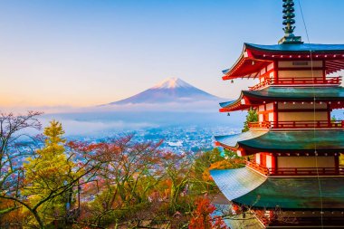 Dağ fuji chureito pagoda akçaağaç ağaç yaprak sonbahar sezonu Yamanashi Japonya çevresinde ile güzel manzara