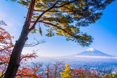 Dağ fuji chureito pagoda akçaağaç ağaç yaprak sonbahar sezonu Yamanashi Japonya çevresinde ile güzel manzara