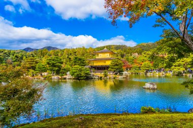 Güzel Kinkakuji Tapınağı Kyoto Japonya'nın Altın Köşk Simgesel Yapı ile