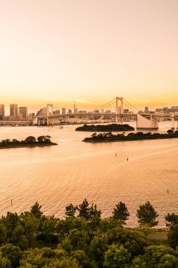 Alacakaranlık günbatımı zaman Japonya'nın tokyo şehir Gökkuşağı Köprüsü ile Cityscape bina güzel mimari