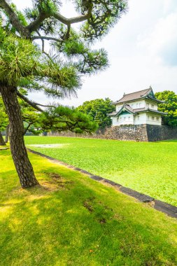 Güzel eski mimari İmparatorluk Sarayı Kalesi hendek ve Tokyo şehir Japonya köprüsünde