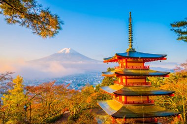 Dağ fuji chureito pagoda akçaağaç ağaç yaprak sonbahar sezonu Yamanashi Japonya çevresinde ile güzel manzara