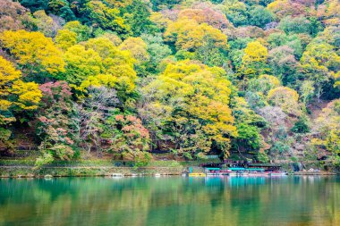 Akçaağaç ağaç yaprak ve sonbahar sezonu Kyoto Japonya göl etrafında tekne ile güzel Arashiyama Nehri