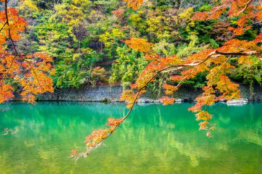 Akçaağaç ağaç yaprak ve sonbahar sezonu Kyoto Japonya göl etrafında tekne ile güzel Arashiyama Nehri