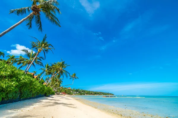 Hermosa Playa Tropical Mar Arena Con Palmera Coco Cielo Azul —  Fotos de Stock