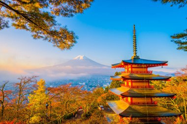 Dağ fuji chureito pagoda akçaağaç ağaç yaprak sonbahar sezonu Yamanashi Japonya çevresinde ile güzel manzara