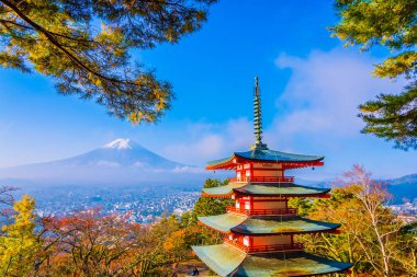 Dağ fuji chureito pagoda akçaağaç ağaç yaprak sonbahar sezonu Yamanashi Japonya çevresinde ile güzel manzara