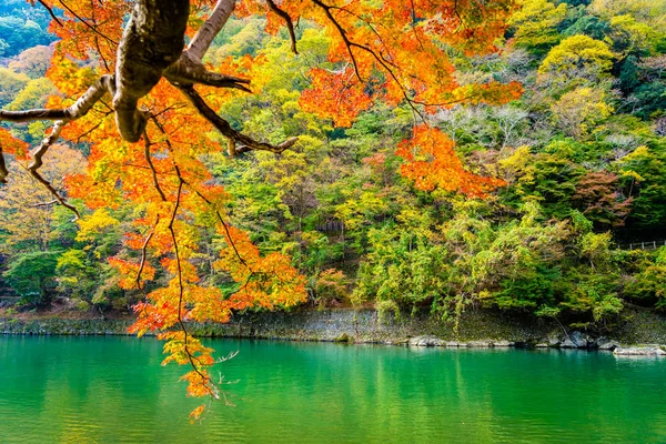 Όμορφο Ποταμό Arashiyama Φύλλα Δέντρο Σφενδάμνου Και Βάρκα Γύρω Από — Φωτογραφία Αρχείου