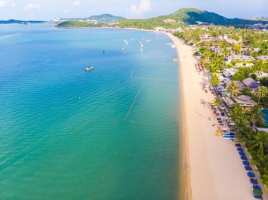 Güzel tropikal plaj ve deniz hurma ve koh samui Adası seyahat ve tatil için diğer ağacında havadan görünümü