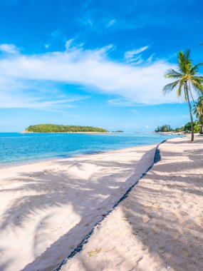 Güzel tropikal plaj ve deniz ile Hindistan cevizi hurma ağacının seyahat ve tatil