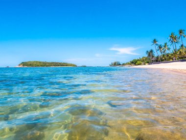 Güzel tropikal plaj ve deniz ile Hindistan cevizi hurma ağacının seyahat ve tatil