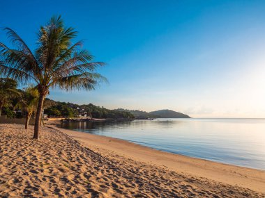Güzel tropikal plaj ve deniz ile Hindistan cevizi hurma ağacının seyahat ve tatil