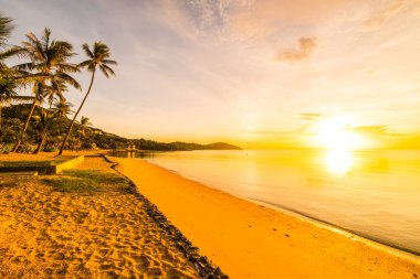 Günbatımı zaman tropik cennet ada plaj ve deniz ile Hindistan cevizi palmiye ağacı üzerinde tatil ve tatil için