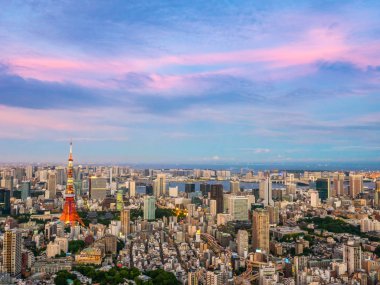 Japonya'da günbatımı zaman şehirde bina mimari ve tokyo kule güzel havadan görünümü