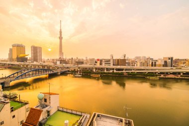 Tokyo city tokyo gökyüzü ağaca gündoğumu Japonya ile bina güzel mimari