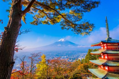 Dağ fuji chureito pagoda akçaağaç ağaç yaprak sonbahar sezonu Yamanashi Japonya çevresinde ile güzel manzara