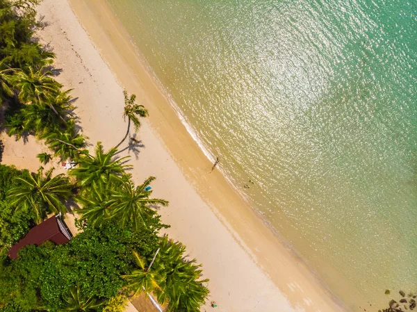 Beautiful Aerial View Beach Sea Coconut Palm Tree Paradise Island — Stock Photo, Image