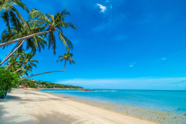 Beautiful tropical beach sea and sand with coconut palm tree on blue sky and white cloud for travel and vacation