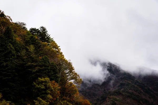 Hermoso Paisaje Montón Árboles Con Hojas Colores Alrededor Montaña Temporada —  Fotos de Stock