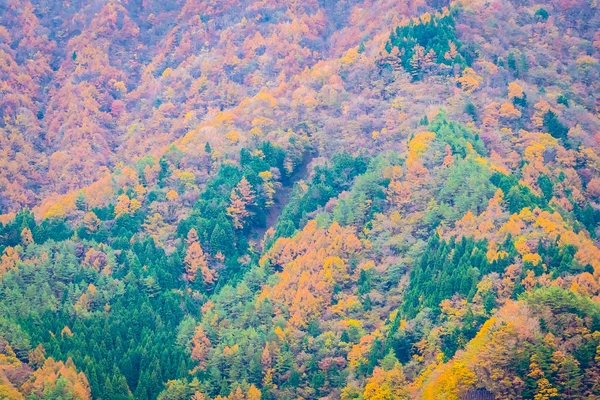 Piękne Krajobrazy Mnóstwo Drzew Kolorowych Liści Wokół Góry Sezonie Jesiennym — Zdjęcie stockowe