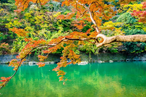 Όμορφο Ποταμό Arashiyama Φύλλα Δέντρο Σφενδάμνου Και Βάρκα Γύρω Από — Φωτογραφία Αρχείου