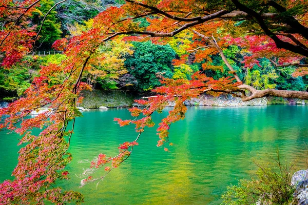 Vackra Arashiyama Floden Med Maple Leaf Träd Och Båt Runt — Stockfoto
