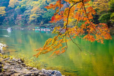 Akçaağaç ağaç yaprak ve sonbahar sezonu Kyoto Japonya göl etrafında tekne ile güzel Arashiyama Nehri