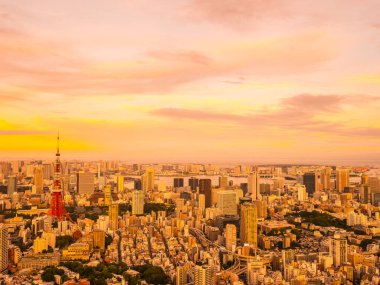Japonya'da günbatımı zaman şehirde bina mimari ve tokyo kule güzel havadan görünümü