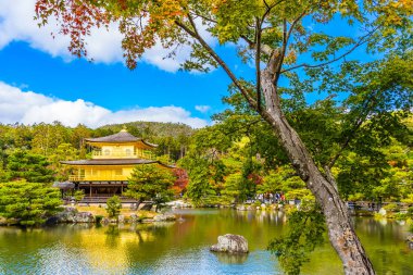 Güzel Kinkakuji Tapınağı Kyoto Japonya'nın Altın Köşk Simgesel Yapı ile