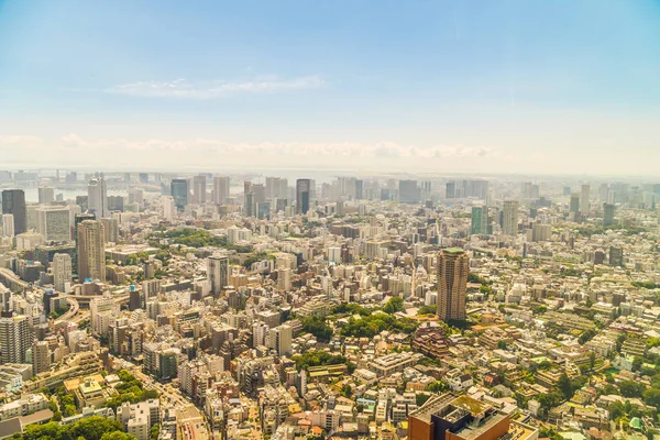 Schöne Architektur Gebäude Tokyo Stadt Mit Tokyo Turm Auf Blauem — Stockfoto