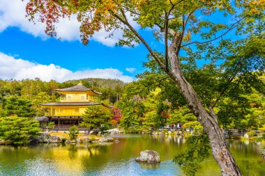 Güzel Kinkakuji Tapınağı Kyoto Japonya'nın Altın Köşk Simgesel Yapı ile